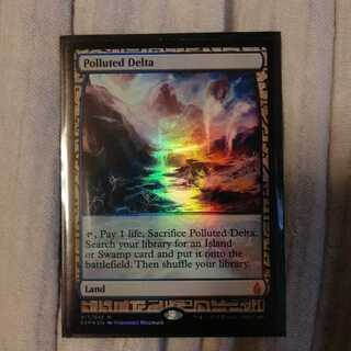 Polluted Delta Expedition