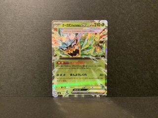 Ogapon Midori-no-men ex RR 016/101