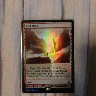 乾燥台地　エクスペディション