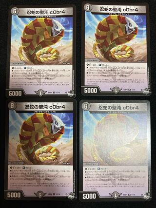 忍蛇の聖沌 c0br4 R 17/74