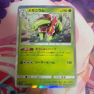 Meganium R 005/095