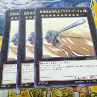 グスタフマックス　３枚