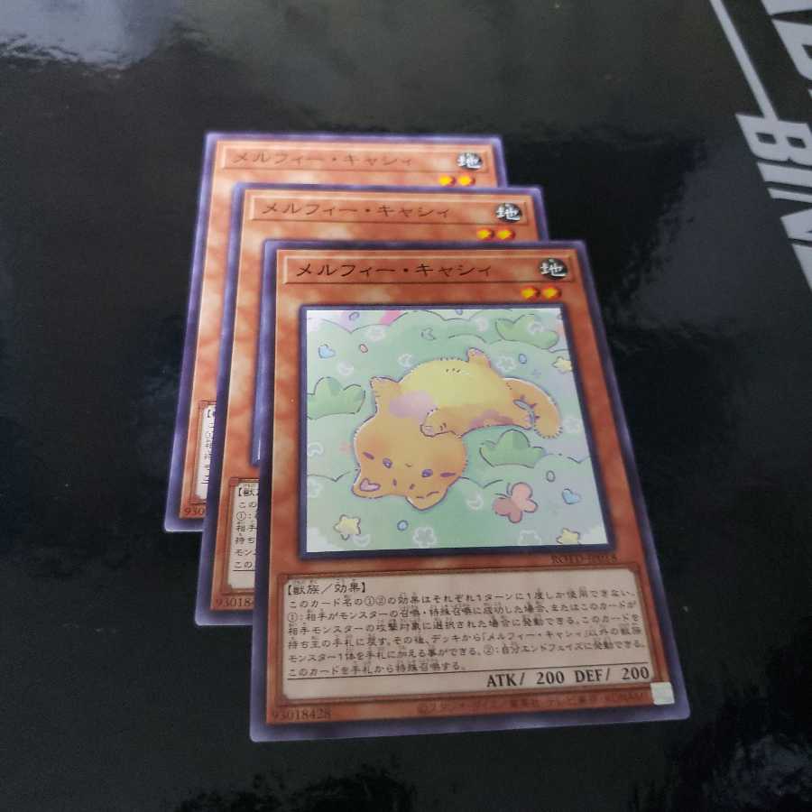 メルフィー・キャシィ N