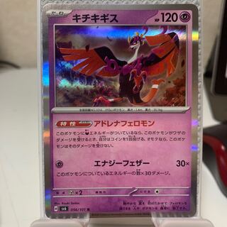 キチキギス R 056/101