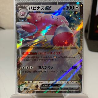 Blisseyex RR 085/101