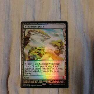 吹きさらしの荒野　エクスペディション