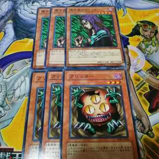 黒き森のウィッチ　クリッター