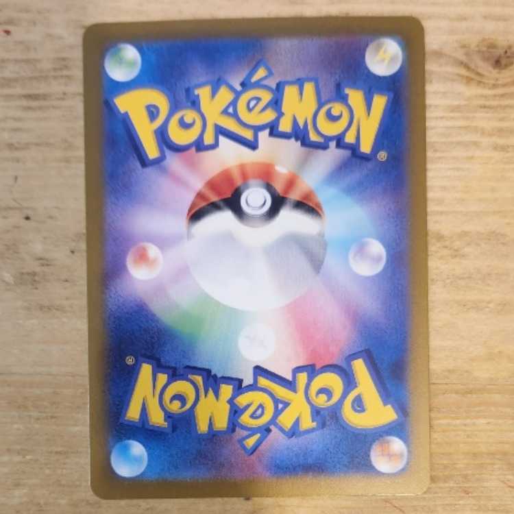 スグリ SAR 129/101 管理03