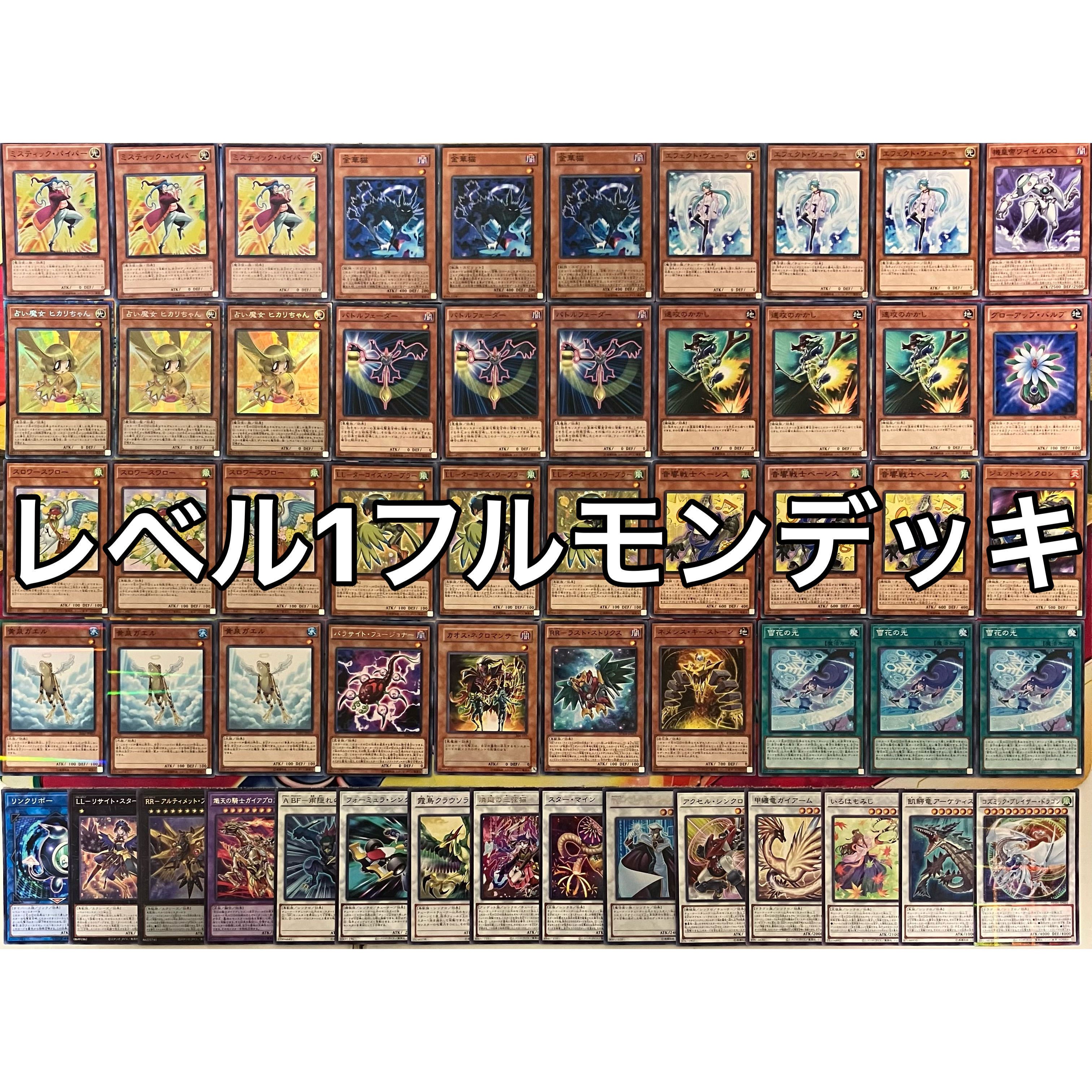 レベル1フルモン デッキ 遊戯王 No.1284