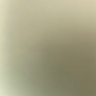 専用ループ 1枚