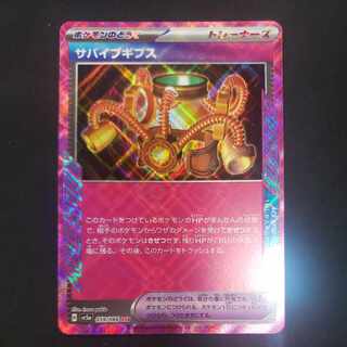 Survive Gips ACE 059/066