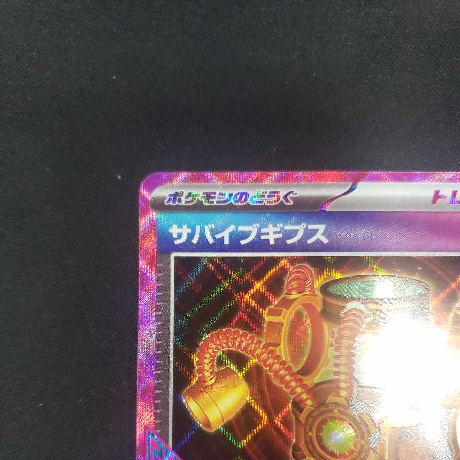 Survive Gips ACE 059/066