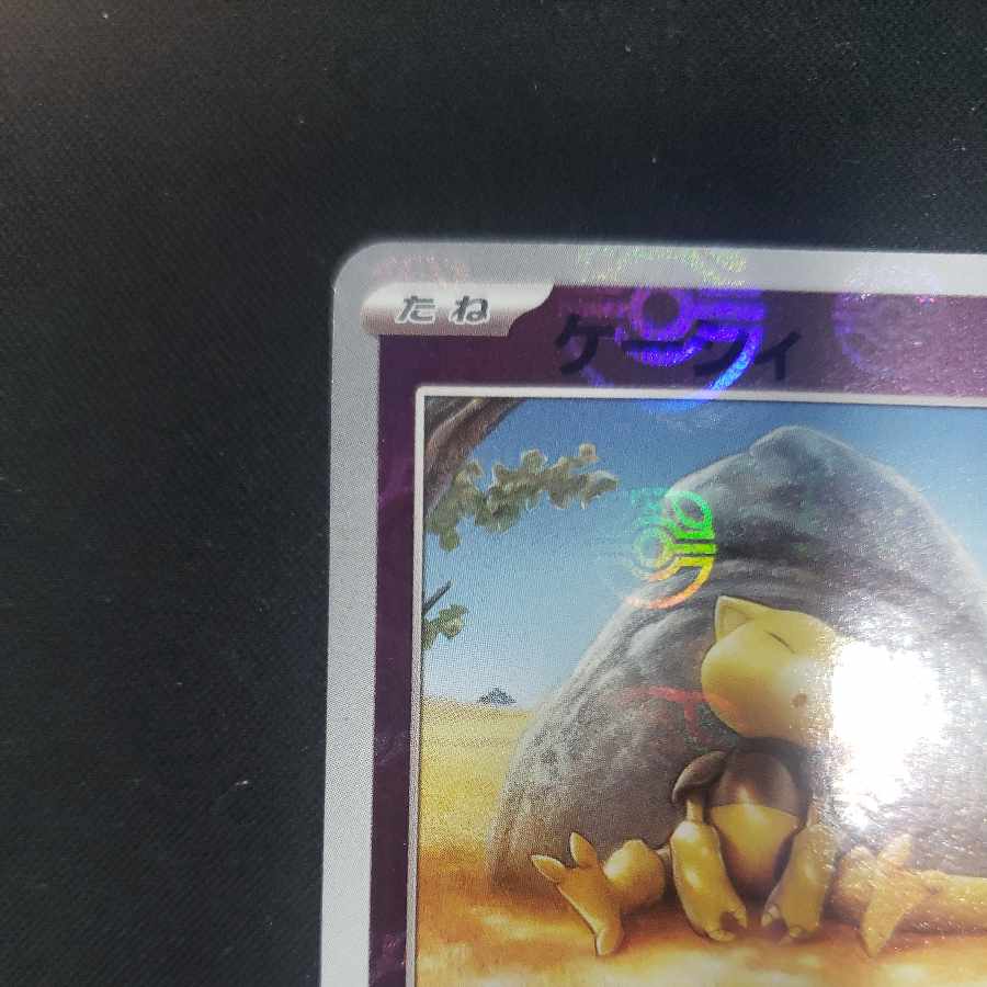 ケーシィ(マスターボール柄/ミラー仕様) C 063/165