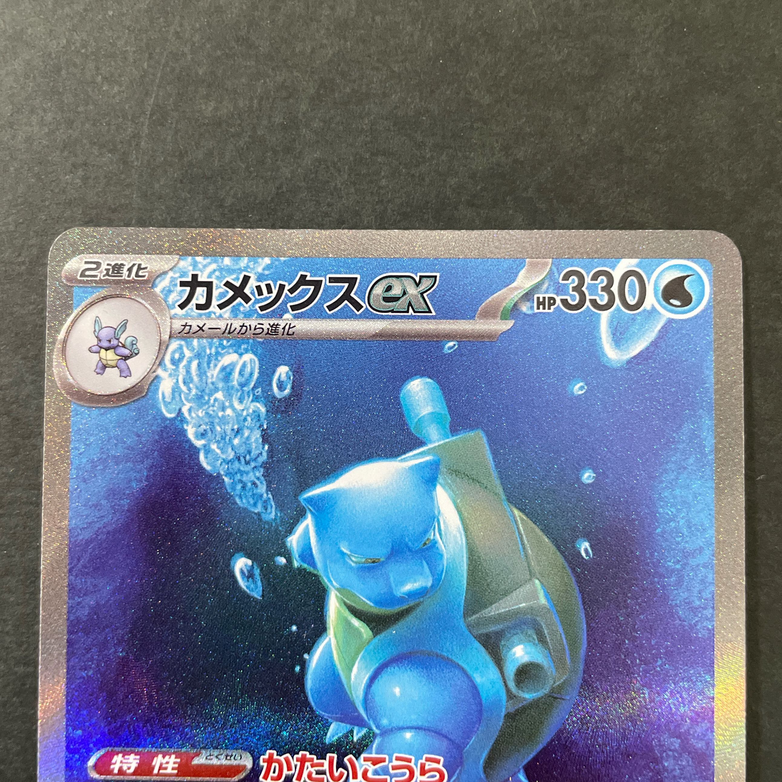 カメックスex SAR 202/165