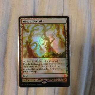 樹木茂る山麓　エクスペディション