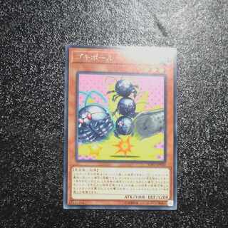 Gokipole Rare JP030 [Korindo