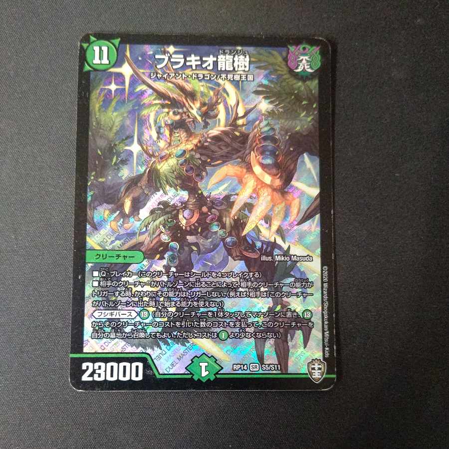 Ryuki Brachio SR S5/S11