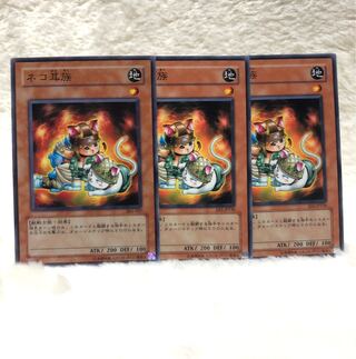 ネコ耳族 N  3枚セット