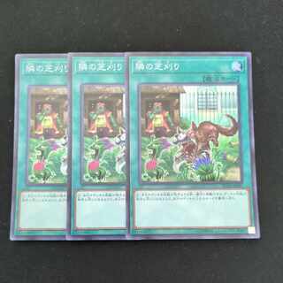 CST777 隣の芝刈り　SR