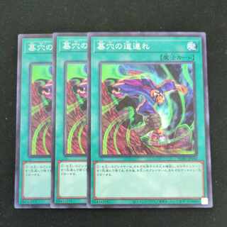 CST780 墓穴の道連れ　ミレニアムレア