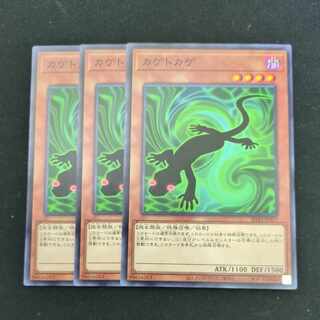 CST785 カゲトカゲN