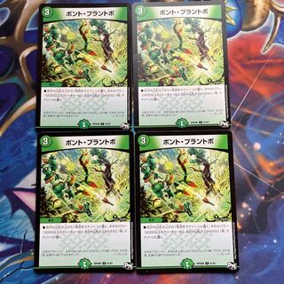 ボント・プラントボ C 61/61