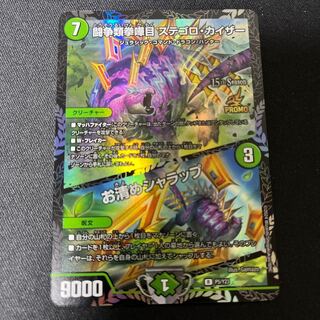 闘争類拳嘩目 ステゴロ・カイザー｜お清めシャラップ R P5/Y23