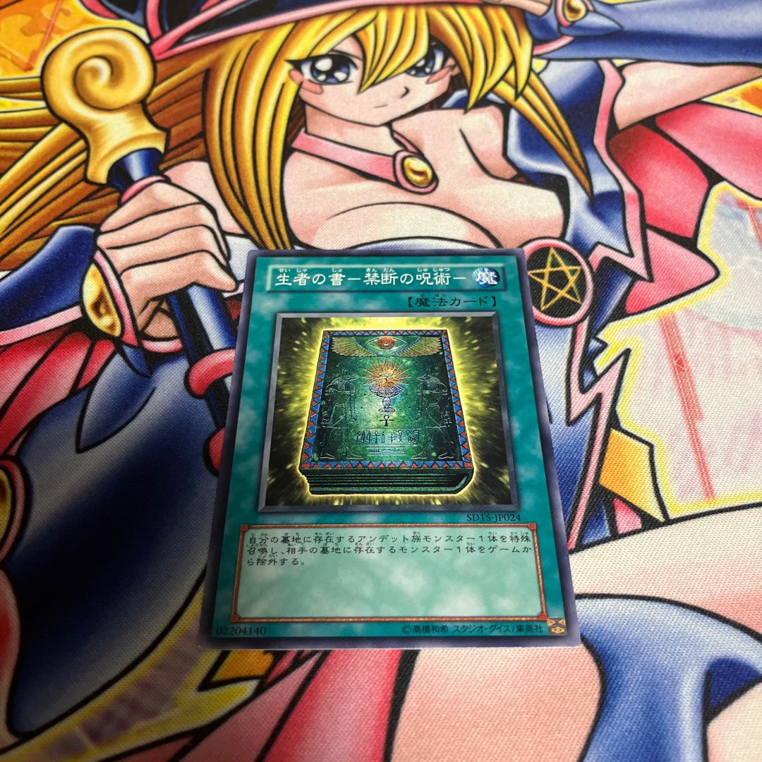 The Book of Life- Forbidden Spell- Normal JP024