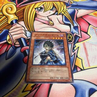 Shadowpriestess of Ohm Normal JP024