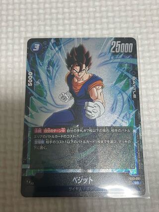 ベジット SR FB02-061