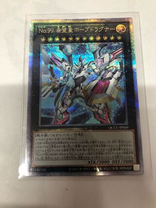 Number 99: Utopia Dragonar QCSE, 25th Sikh QCCU-JP069s