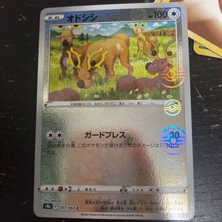 Stantler (Miller) C 057/067