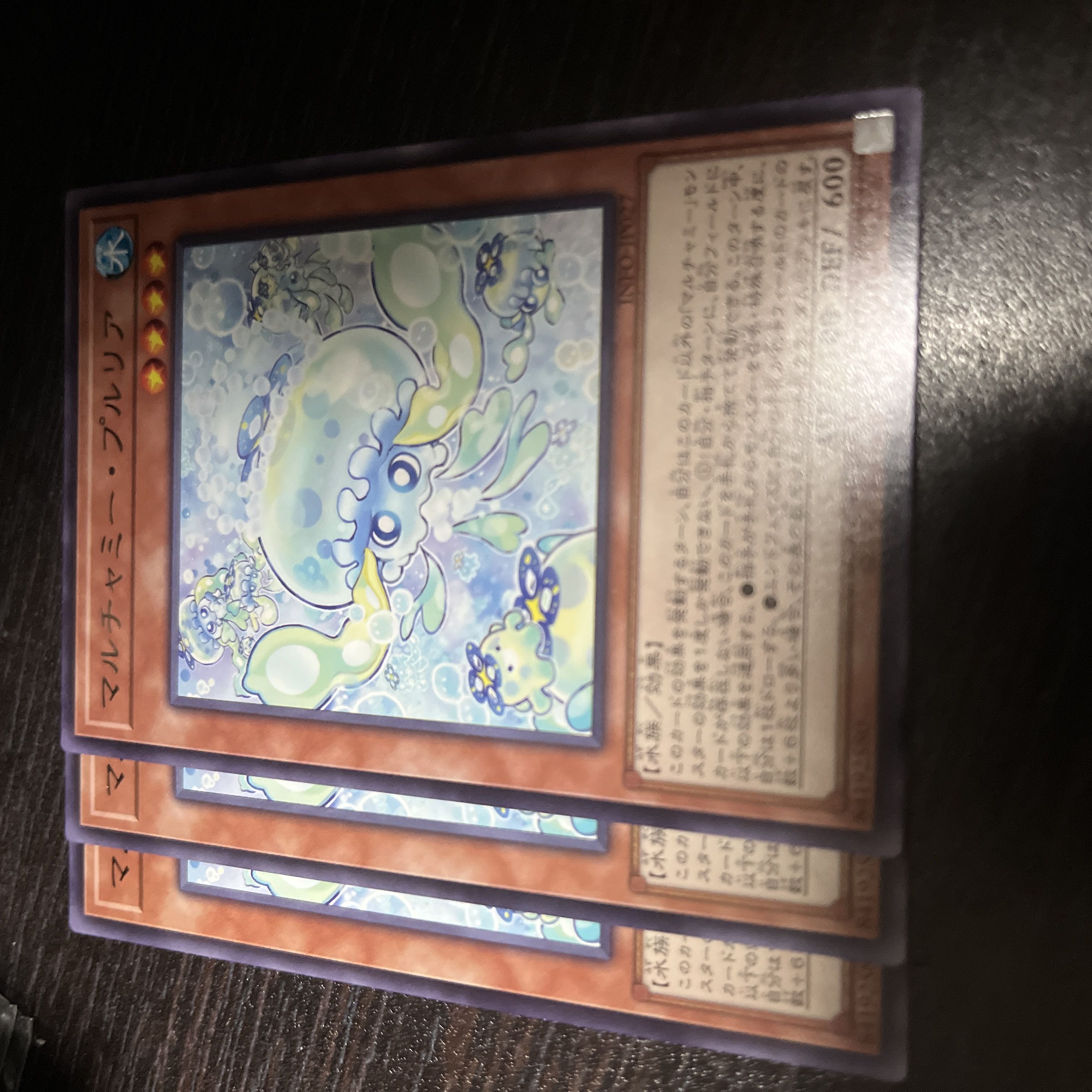 Multyamy Purulia rare INFO-JP027