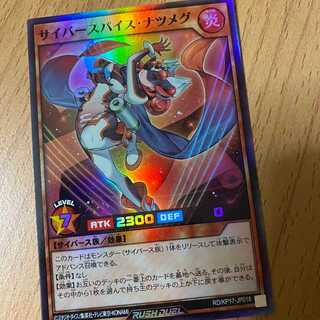 SR Cyber Spice Nutmeg Super