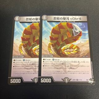 忍蛇の聖沌 c0br4 R 17/74