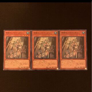 神樹のパラディオン N