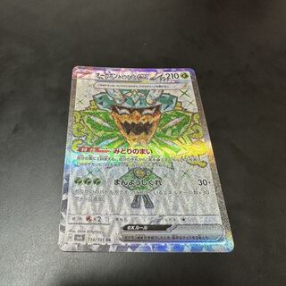 Ogapon Midori-no-men ex SR 114/101