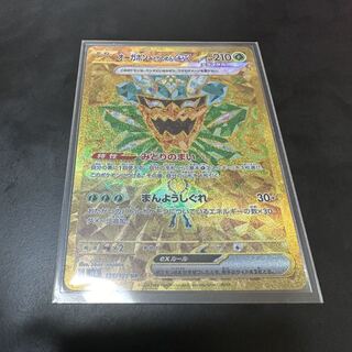 Ogapon Midori-no-men ex UR 131/101