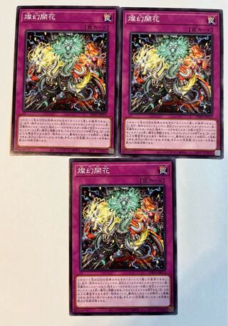 Brilliant Flower [Normal] JP073