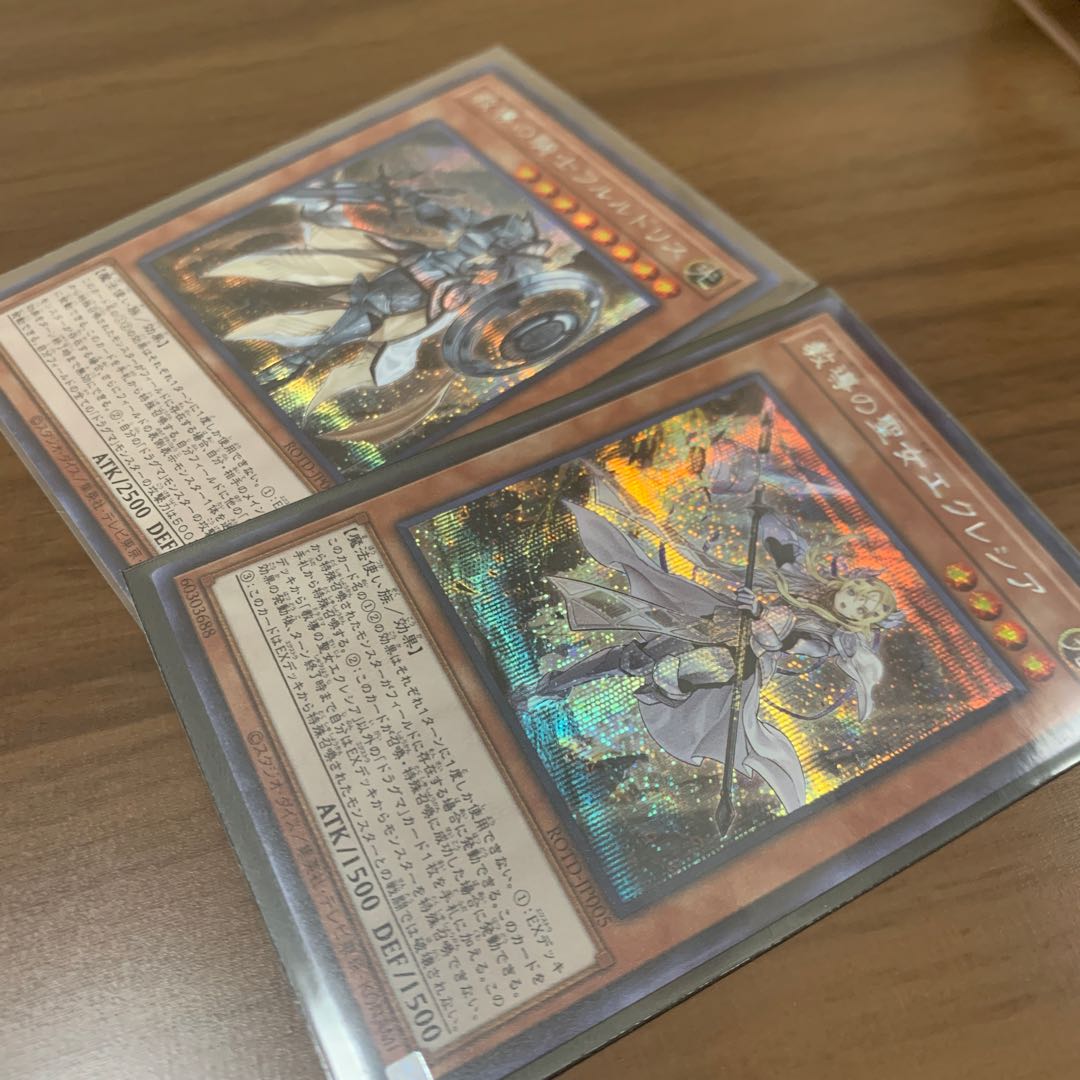 最終値下げ　教導の聖女エクレシアSE 教導の騎士フルルドリスSE