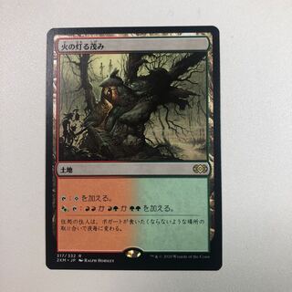 Fire-Lit Thicket Rare 317/332