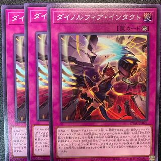 Dynorphia Intact Normal JP076