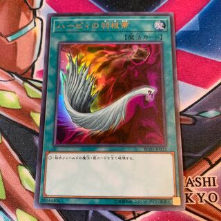 ハーピィの羽根帚 UR