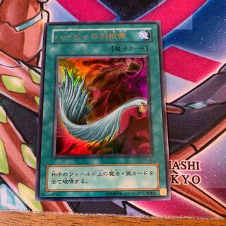 ハーピィの羽根帚 UR