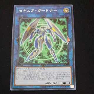 CST792 Secure Gardna R