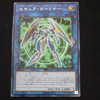 CST795 セキュア・ガードナー R