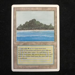 サト様専用(Tropical  Island+補充/水連の花びら4+血染めの月