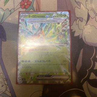 Ogapon Midori-no-men ex RR 016/101