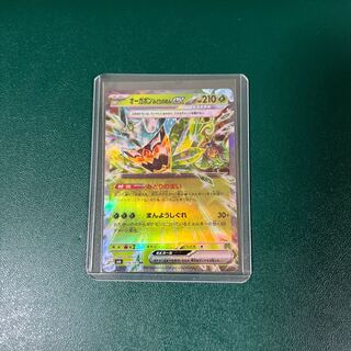 Ogapon Midori-no-men ex RR 016/101