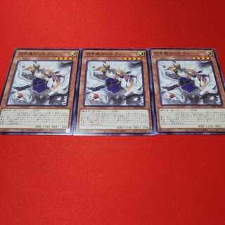 Sylvie of the White Forest Normal INFO-JP015